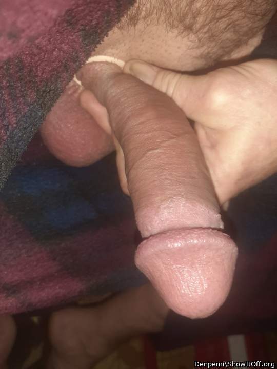 Adult image from Denpenn