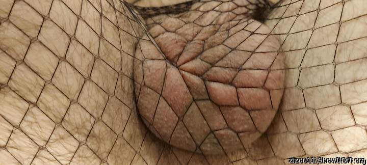 Adult image from zizou11