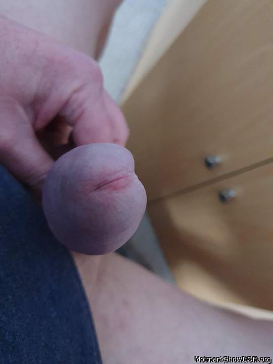 Adult image from Motman