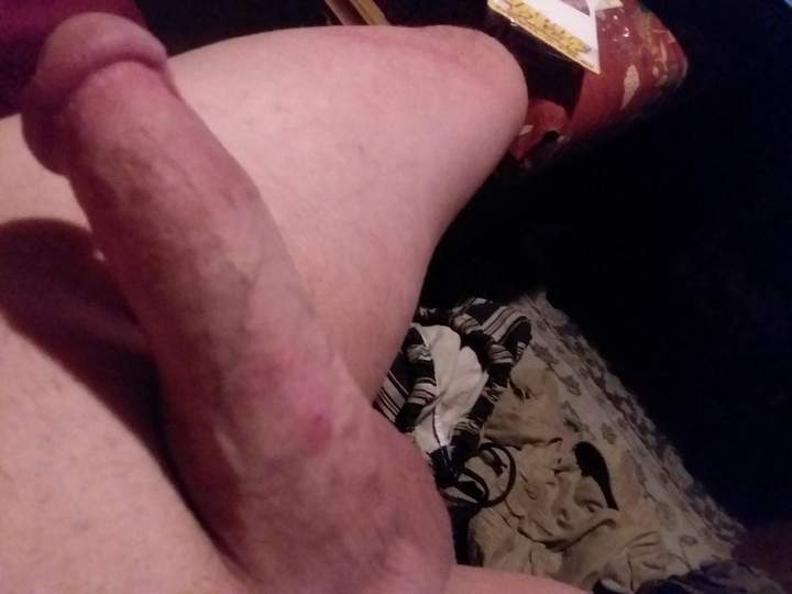 Adult image from fish4free