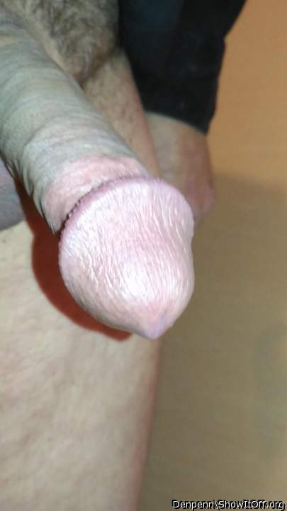 Adult image from Denpenn