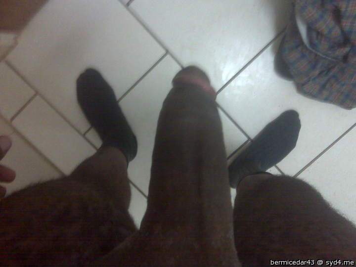 Adult image from bermicedar43