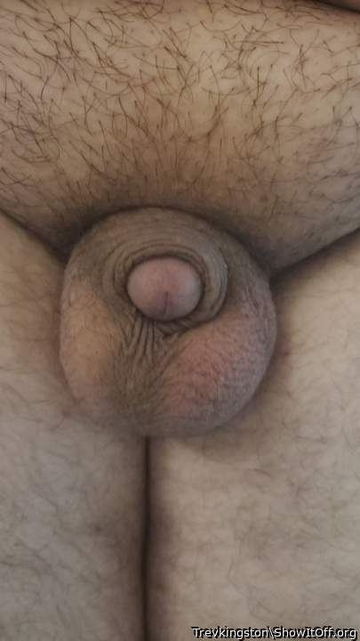 Adult image from Trevkingston