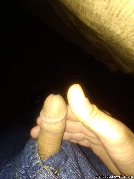 Adult image from Alf4269