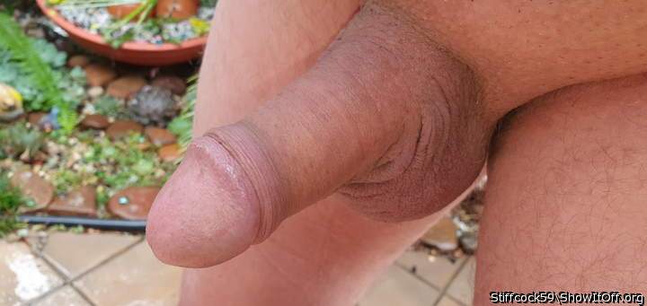 Adult image from Stiffcock59