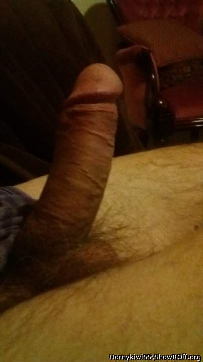 Adult image from Hornykiwi55