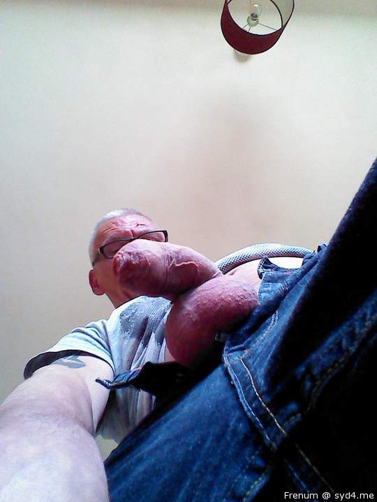 Adult image from Frenum