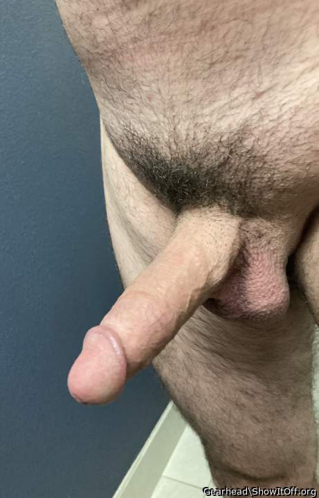 Adult image from Gearhead