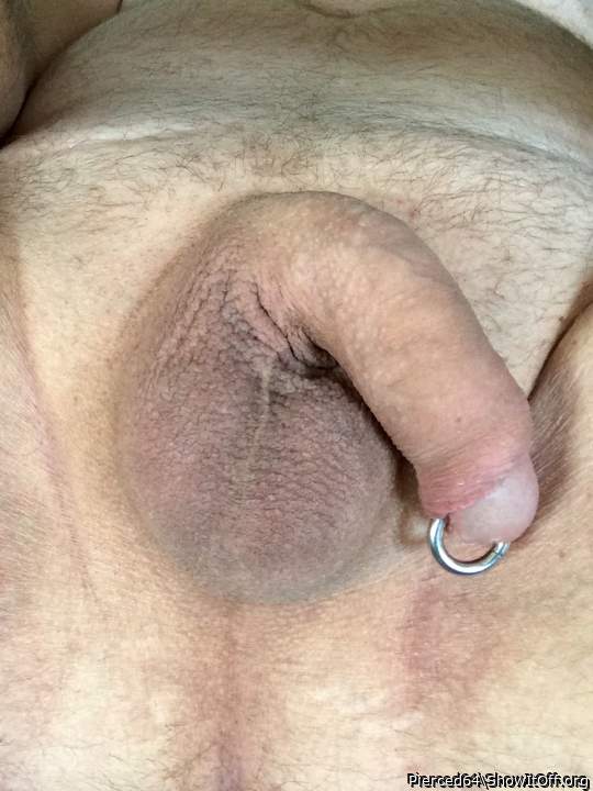 Adult image from Pierced64