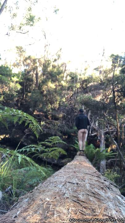 love sex in the wild

love wild sex in the great outdoors