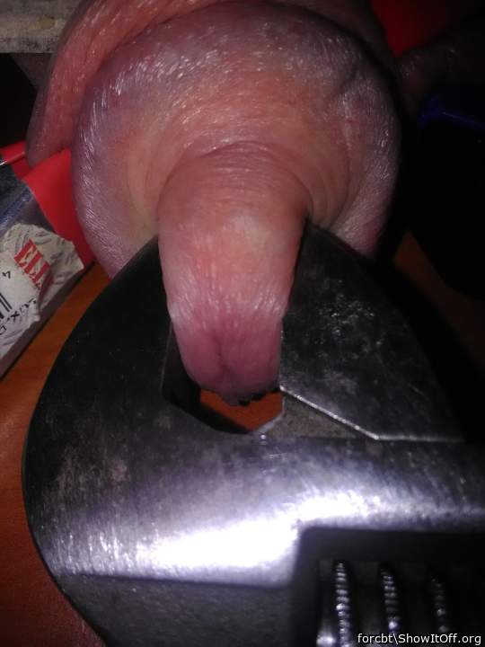 Adult image from forcbt