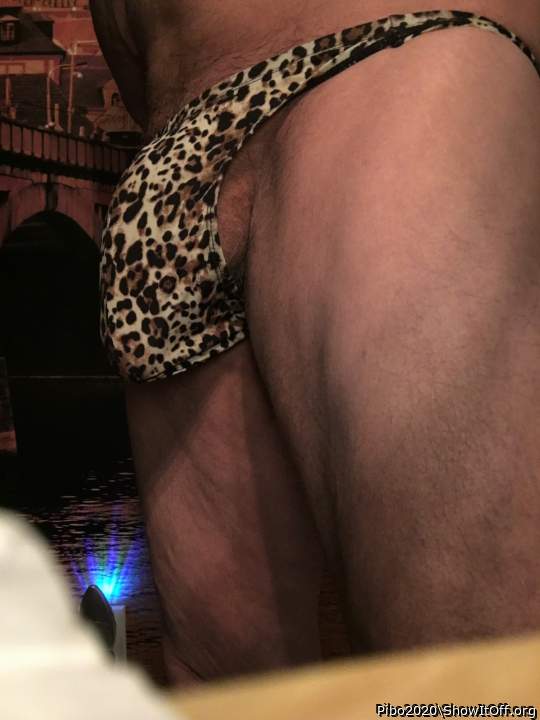 Adult image from Pibo2020