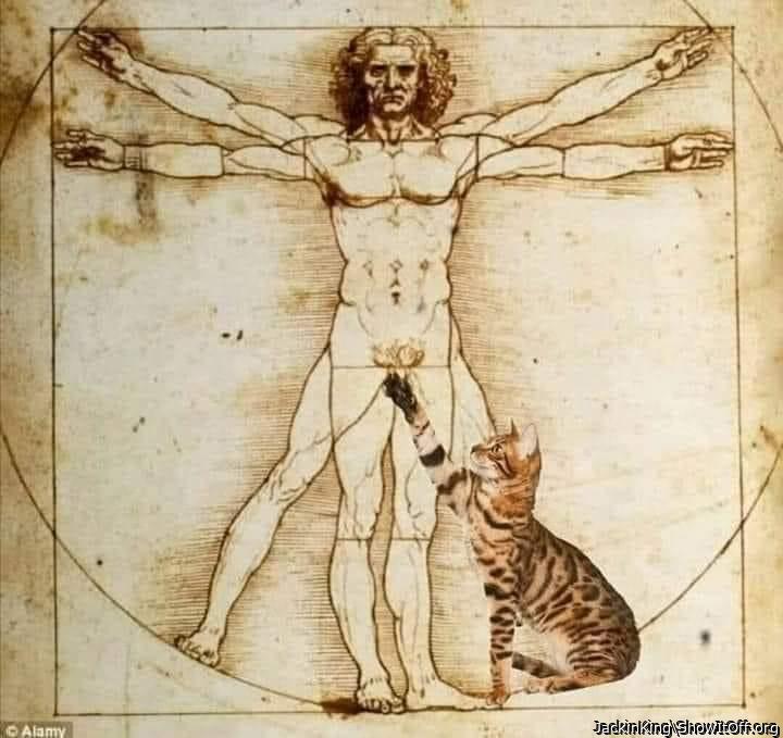 This is why I don�t have a cat :)