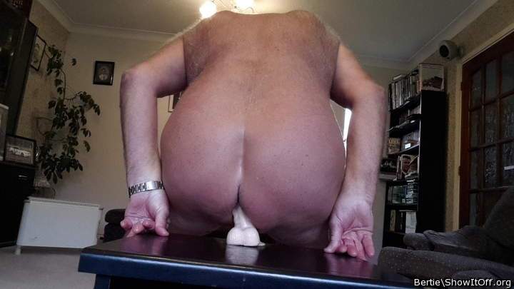 Adult image from Bertie