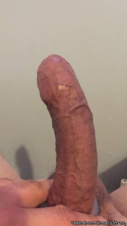 Adult image from feelthehorn