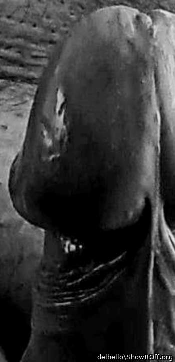 Adult image from hideout