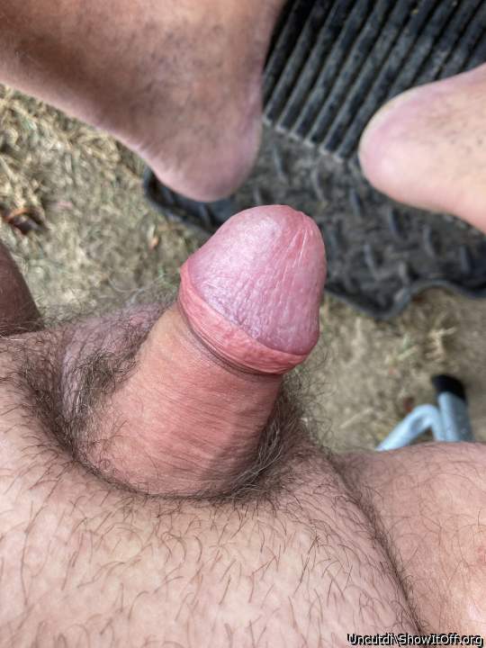 Adult image from Uncutdi
