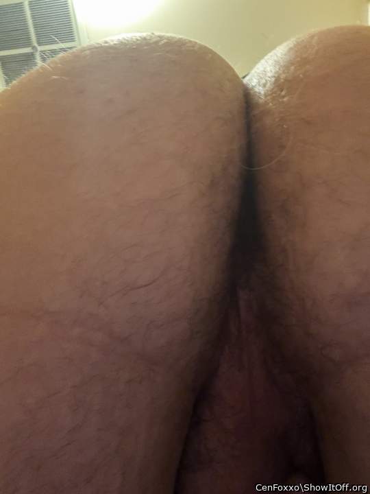 Adult image from CenFoxxo