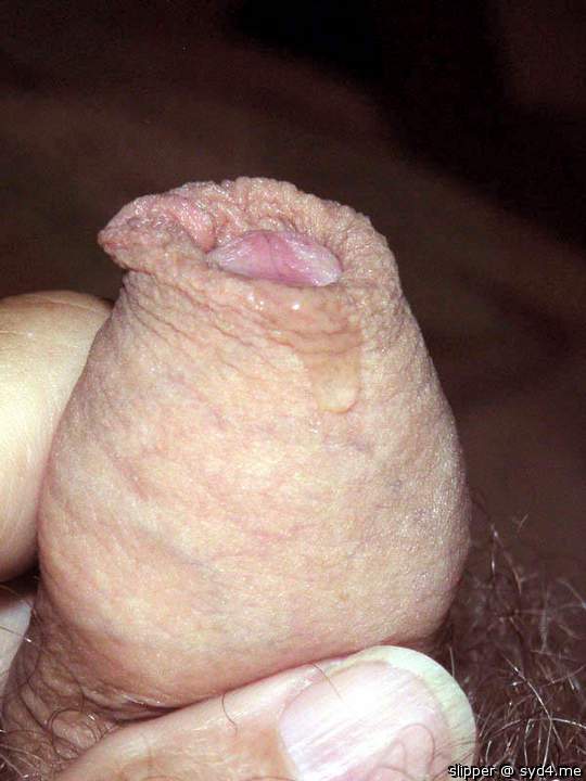 Adult image from slipper