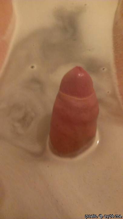 Adult image from pisello