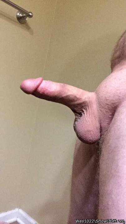 Adult image from Wes1022