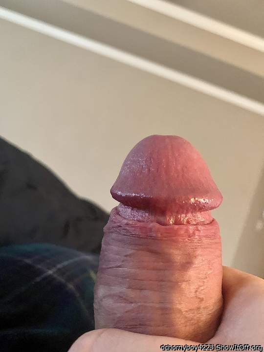 Adult image from dchornyboy4223