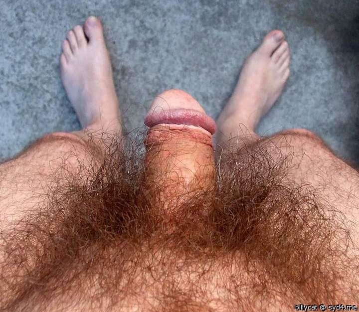 Adult image from billycat