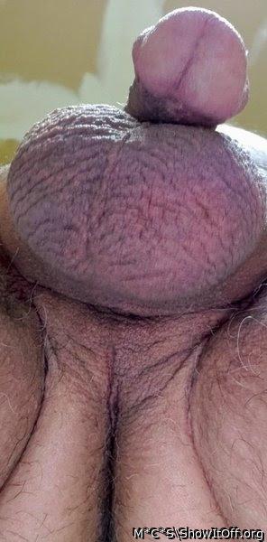 Adult image from M*C*S