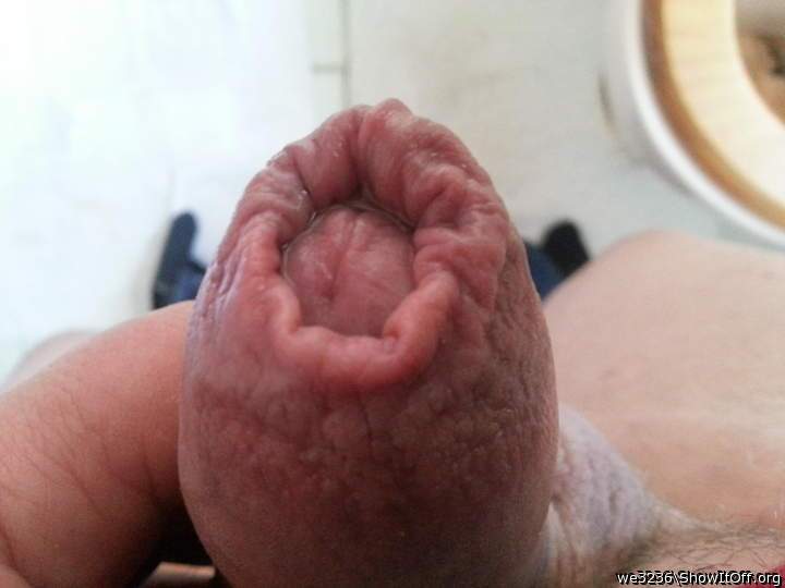 Adult image from we3236