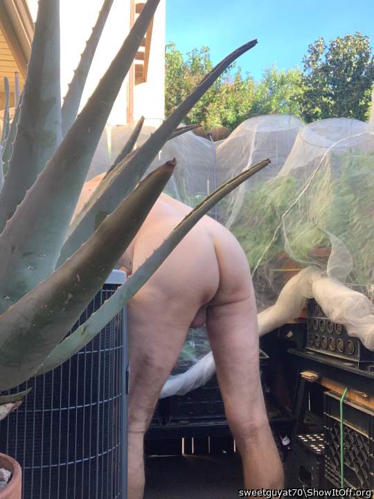 Peek a boo butt 2