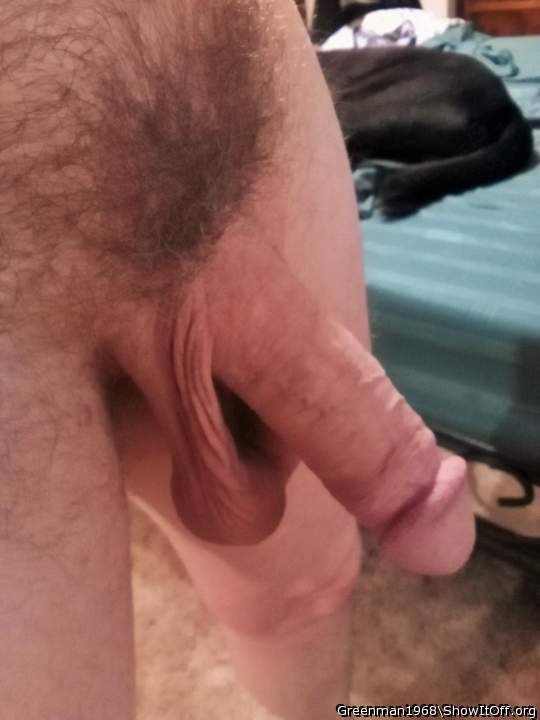 Bush and all