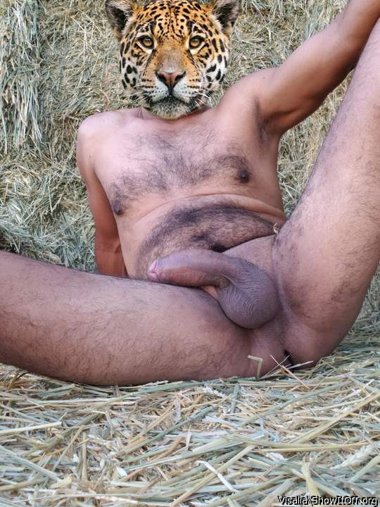 Adult image from visalia