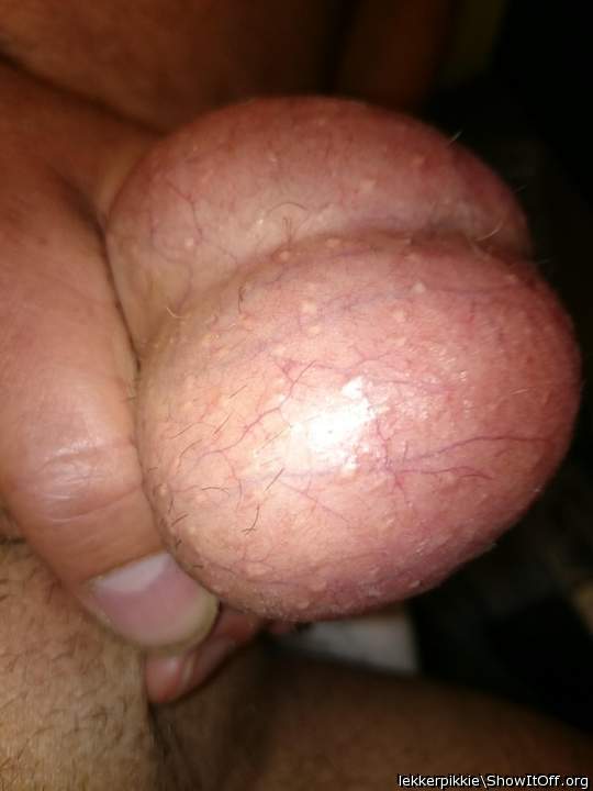 Adult image from lekkerpikkie