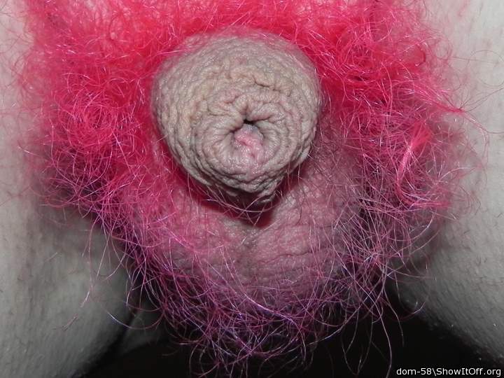 d�licieux bouton de rose dans son nid couleur fushia!   