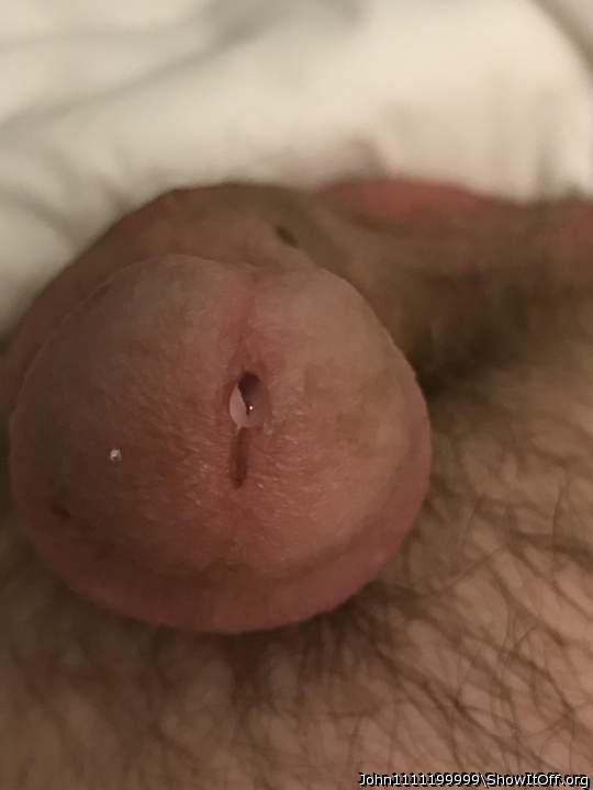 Adult image from John1111199999