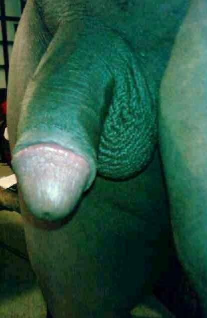 Adult image from Assman80