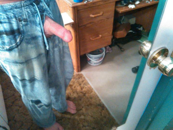 Adult image from fish4free
