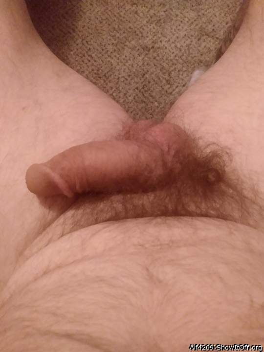 A bit like mine but with a tihgter circumcision
