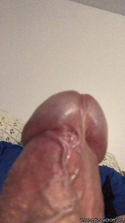 Adult image from shlong