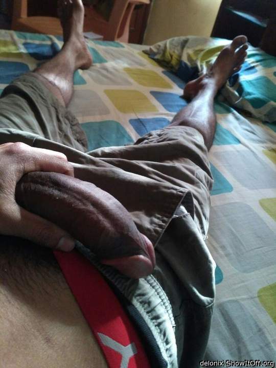 Adult image from Delonix