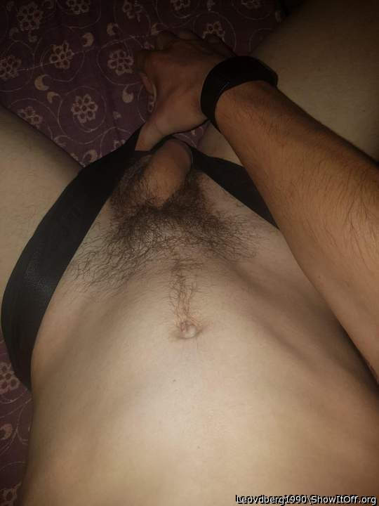 Adult image from Leovdberg1990