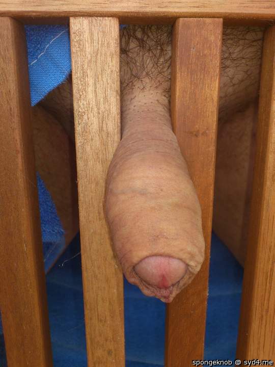 Adult image from spongeknob