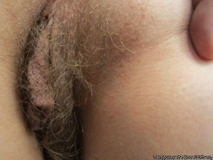 hairy cunt of my wife!