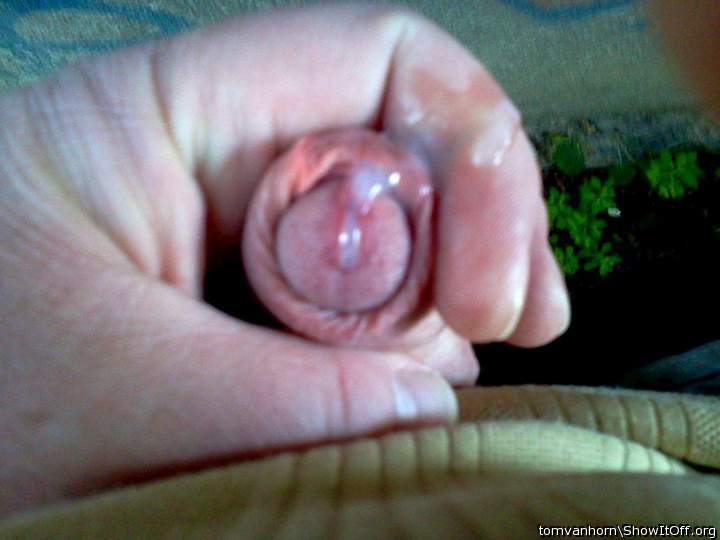 Adult image from tomvanhorn
