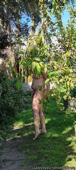 Gardening