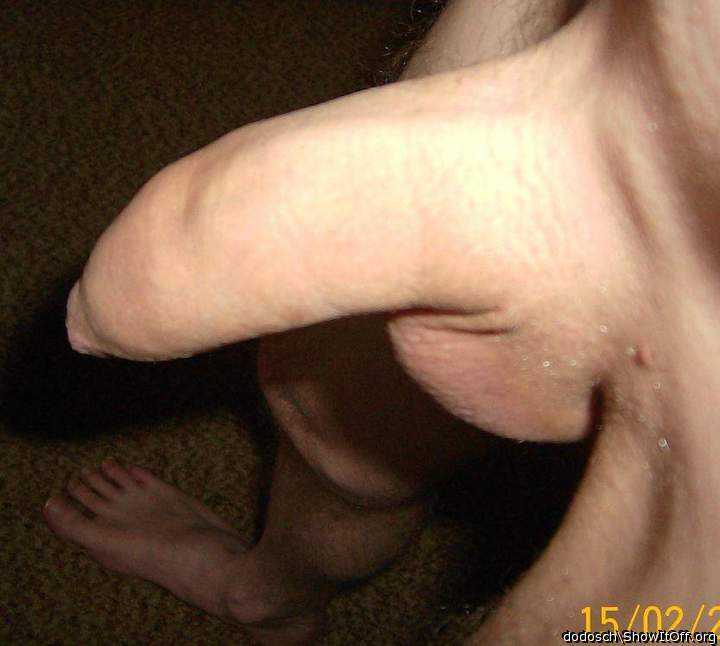 Adult image from dodosch