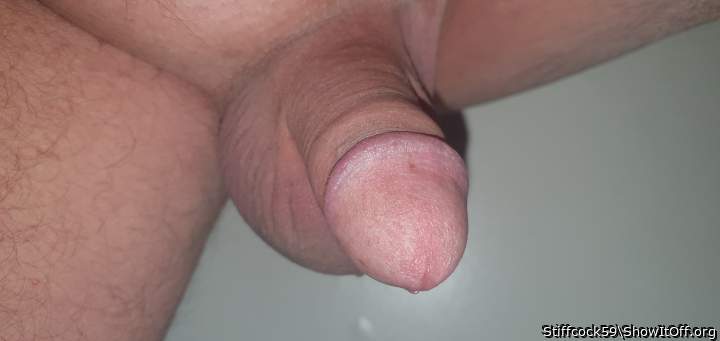 Adult image from Stiffcock59