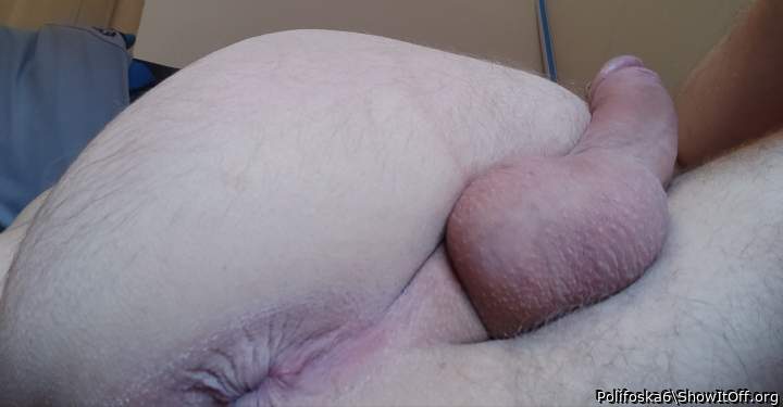 Adult image from Polifoska6