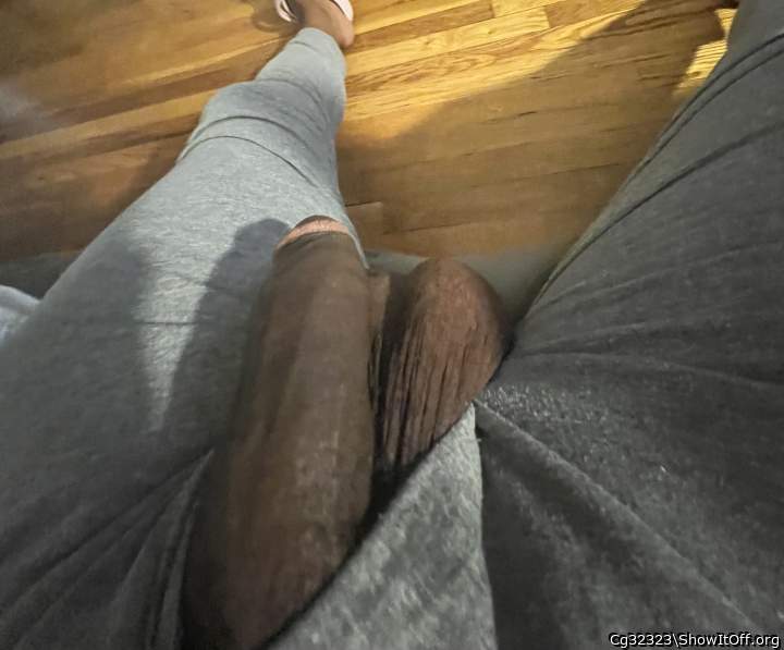 Adult image from Cg32323