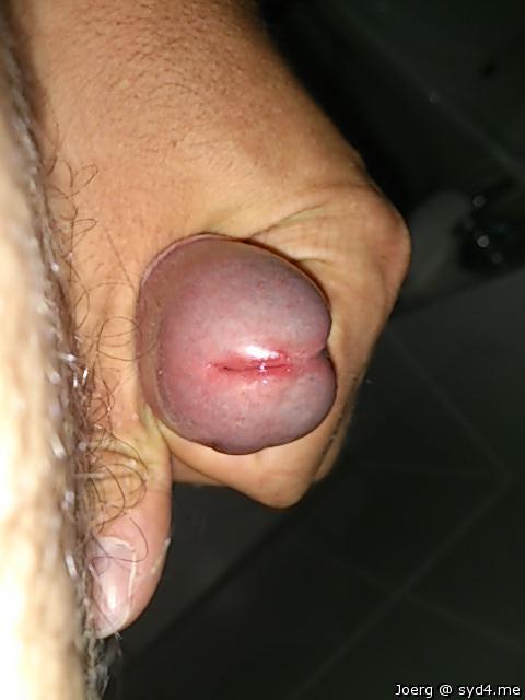 Adult image from joerg
